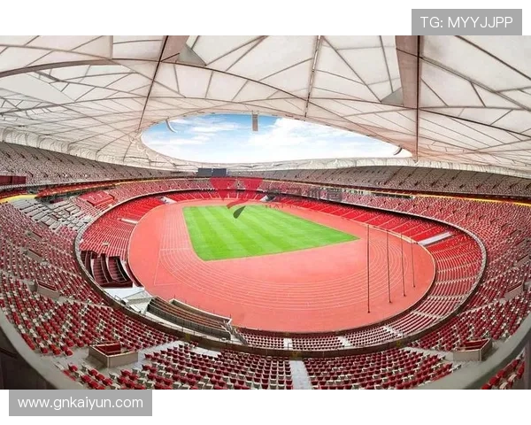 ng体育在国际比赛中的崛起与中国的机遇